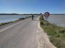 Ambiance Camargue à l'étang de l'Arnel